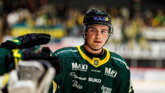 HockeyAllsvenskan