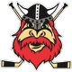 Nybro Vikings IF