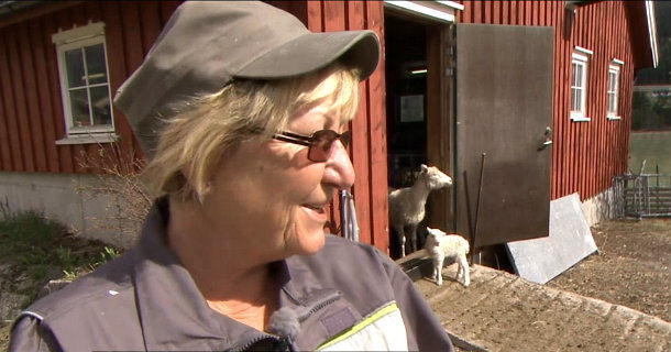 Kirsten Bråten Berg i norska dokumentären Lammhjälpen i SVT Play