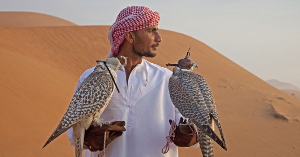 Arab med falkar i naturfilmen "Det vilda Arabien" i SVT Play