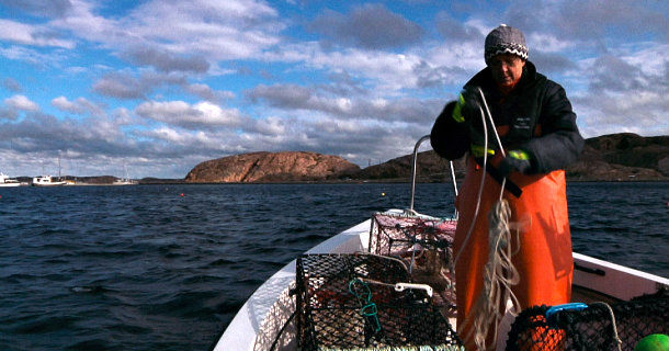 Fiskare i dokumentären "Hummerfiske i Bohuslän" i SVT Play