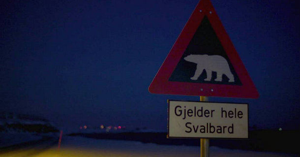 Skylt som varnar för isbjörnar i dokumentären "Vår extrema värld" i SVT Play
