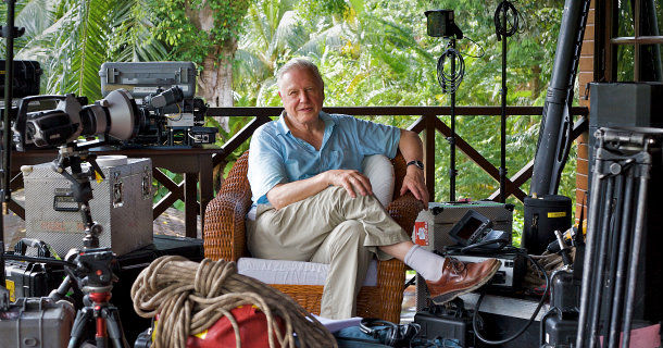 David Attenborough i serien "Världens natur: Attenborough" i SVT Play
