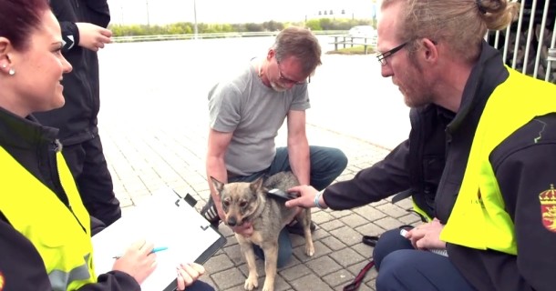 Djurskyddsinspektörer undersöker hund i serien "Djurskyddsinspektörerna" i TV4 Play