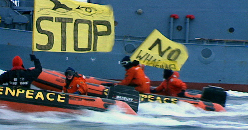 Miljöaktivister från Greenpeace i dokumentären "Miljöaktivisterna" i UR Play