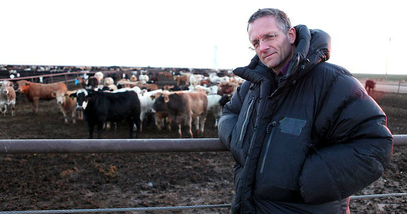 Michael Mosley framför boskap i dokumentären "Miljövänligt kött - finns det?" i SVT Play