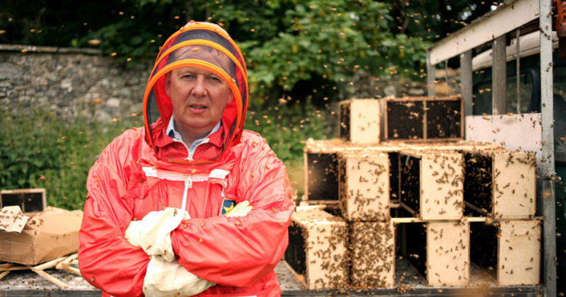 Bill Turnbull i dokumentären "Vad händer med våra bin?" i SVT Play