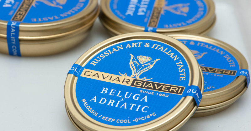Kaviar från stör i dokumentären "Världens dyraste fisk" i SVT Play