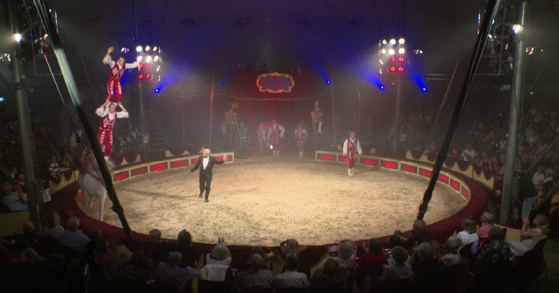 Cirkusartister i "Cirkus Brazil Jack" i SVT Play