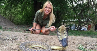 Linda och djurens hjältar