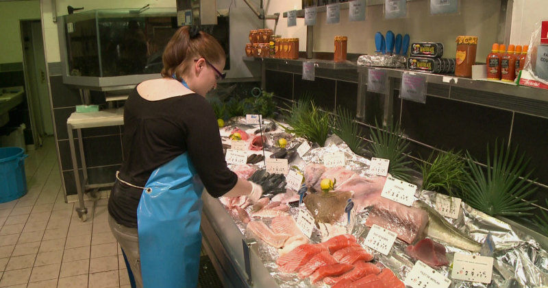 Fiskkött i dokumentären Vad är det i fisken i SVT Play
