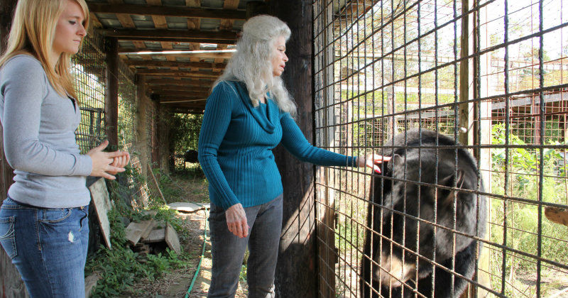Kvinna med grizzlybjörn som husdjur i Exotiska husdjur var mans rätt i TV4 Play