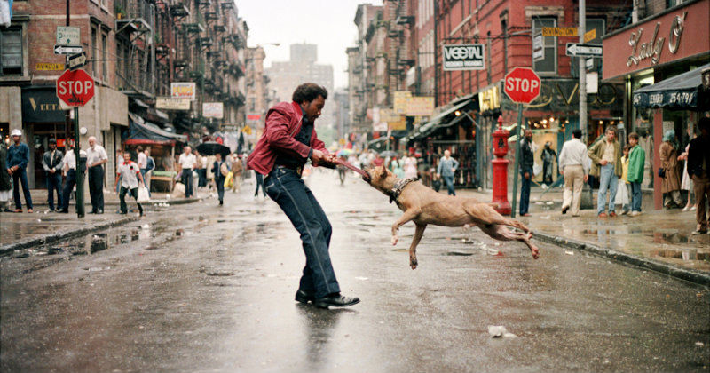 Man med hund i New York i dokumentären Fotografernas New York i UR Play