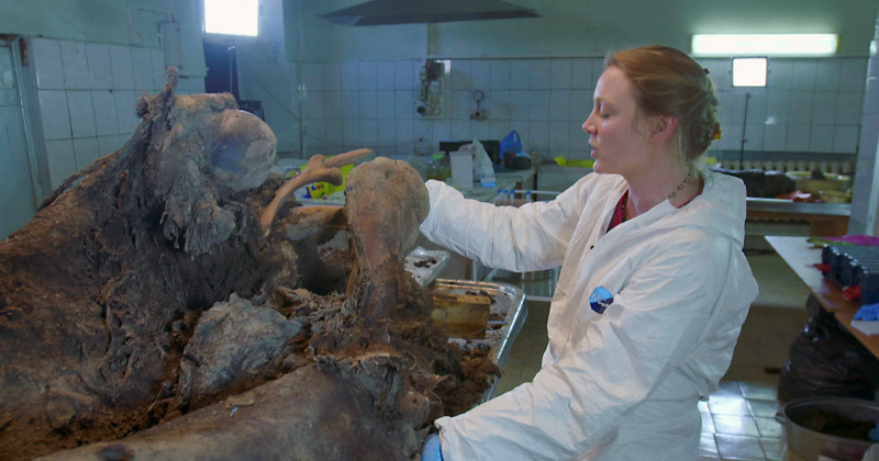 Forskare i dokumentären Konsten att klona en mammut i SVT Play
