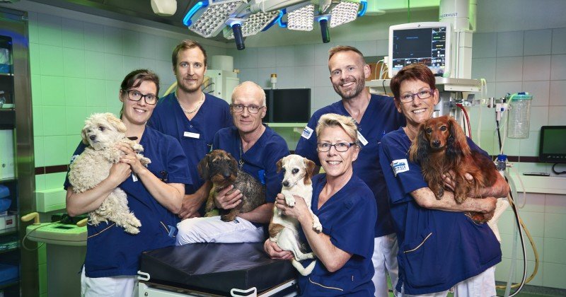 Djursjukhus i "I djurens tjänst" i TV3 Play