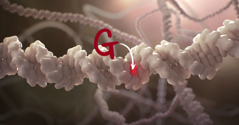 Kan lagade gener bota oss? på SVT Play