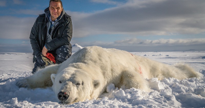 Anders Lundin med isbjörn i "I rovdjurens spår" på SVT Play