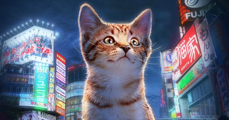 Japan - katternas rike på UR Play