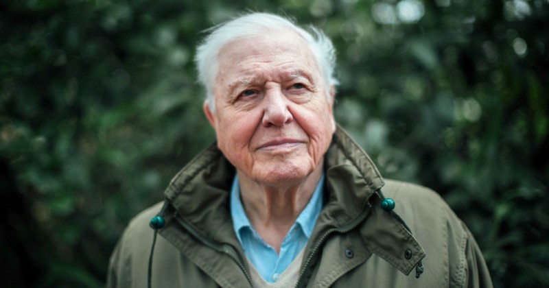 David Attenborough: Klimatkrisen