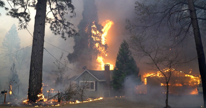 Skogsbrändernas ödeläggelse SVT Play, skogsbrand i Kalifornien