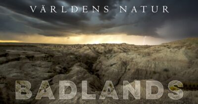 Världens natur: Badlands