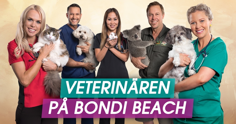 Veterinären på Bondi Beach TV4 Play stream