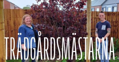 Trädgårdsmästarna