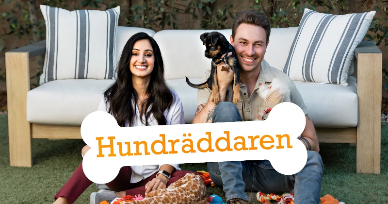Hundräddaren på TV4 Play streama