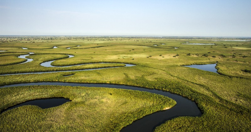 Okavango - drömmarnas flod på SVT Play