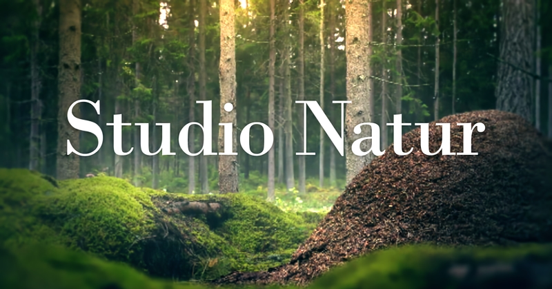 Studio Natur SVT Play stream