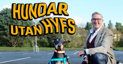 Hundar utan hyfs