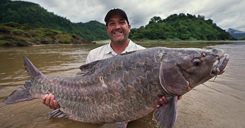 Zeb Hogan i Monster Fish på TV10 | Viafree