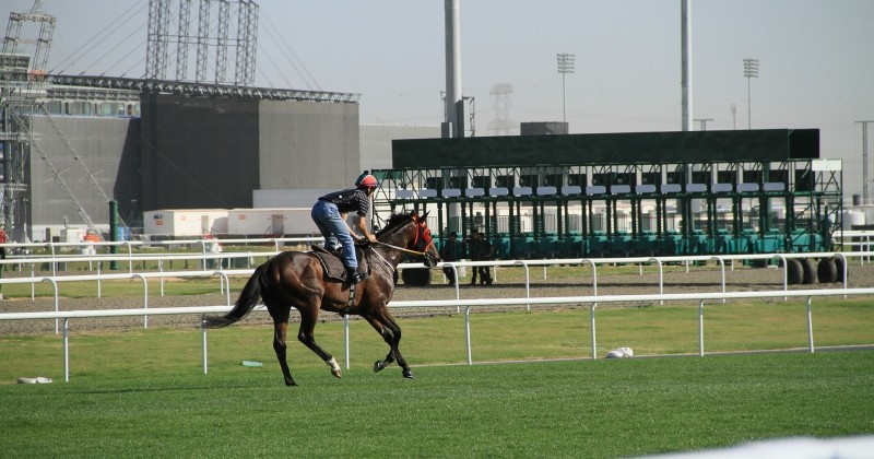Megastructures: Dubai Racecourse på TV10 Play Viafree
