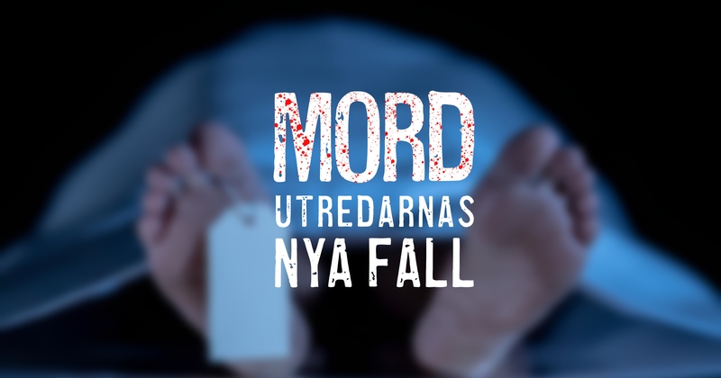 Mordutredarnas nya fall