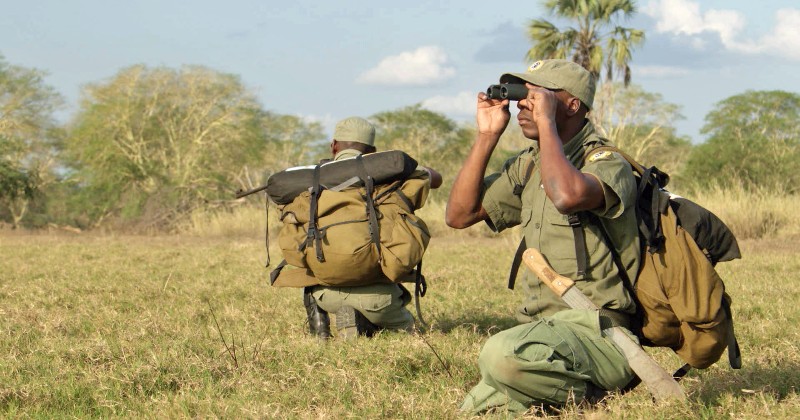 Afrikas viltvårdare i frontlinjen på UR Play