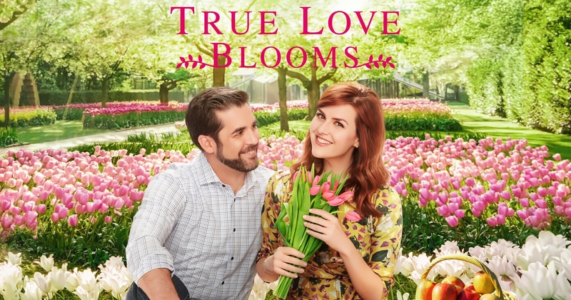 True Love Blooms TV4 Play stream