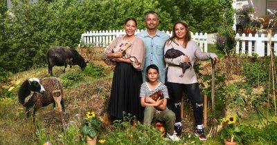 En bondgård mitt i stan