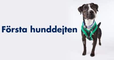 Första hunddejten