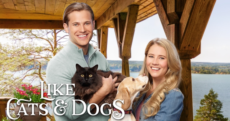 Like Cats and Dogs - TV4 Play