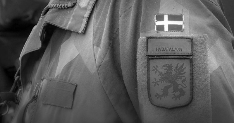 Nato special - svar på dina frågor på SVT Play