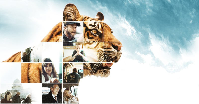 Tiger kings: USA:s illegala rovdjurshandel SVT Play