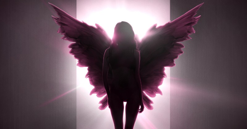 Victoria’s Secret: Änglar och demoner på TV4 Play