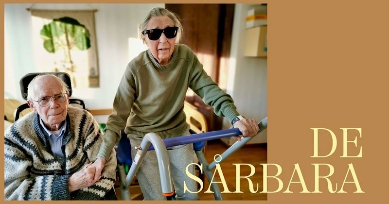 De sårbara