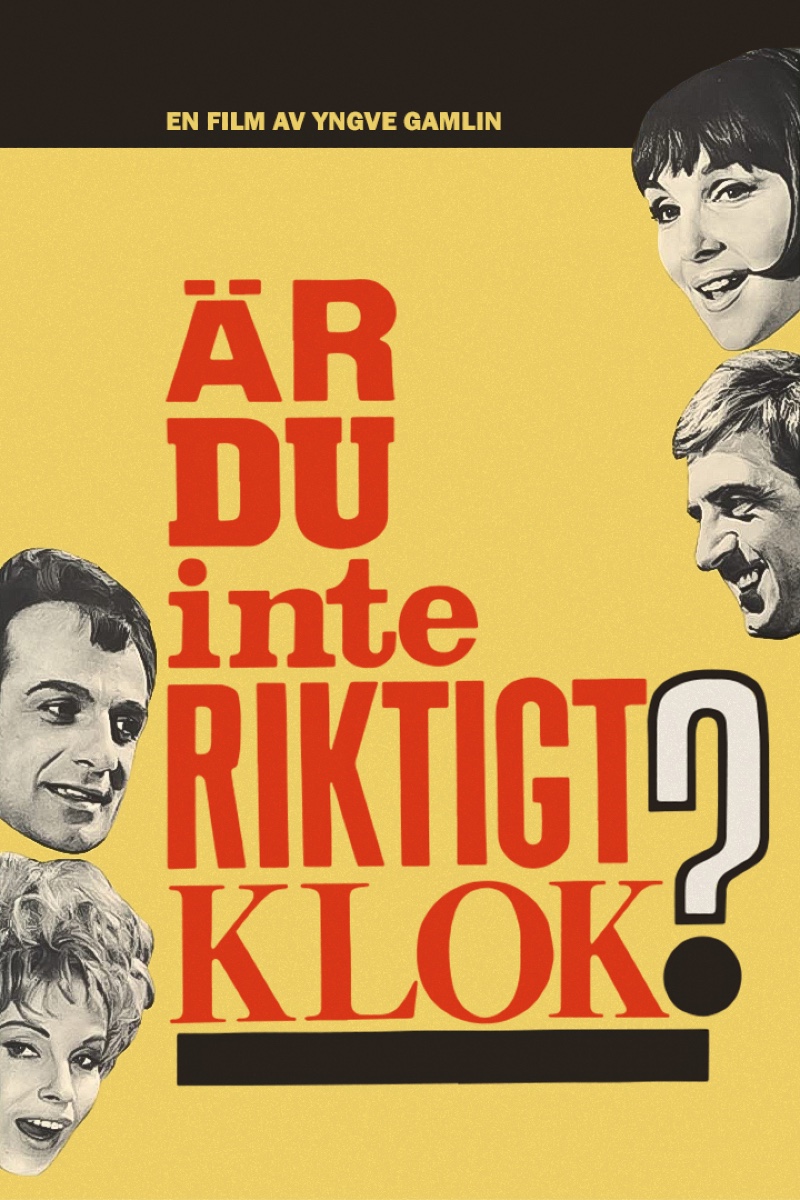 Är du inte riktigt klok?