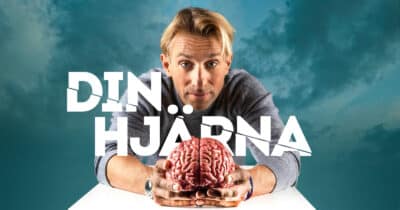 Din hjärna