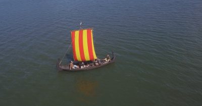 Vikingakungarnas krigare