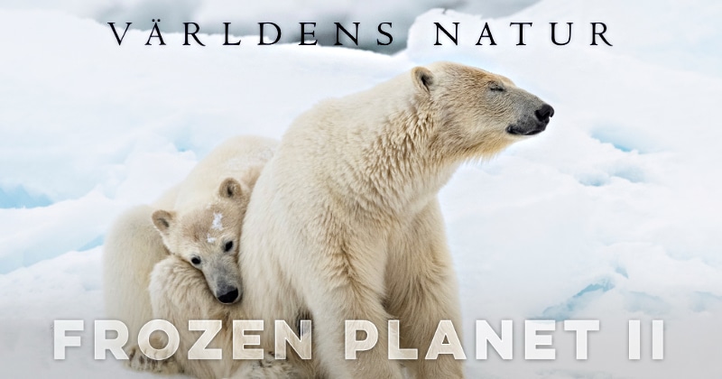 Frozen Planet