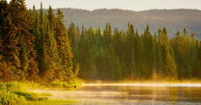 Hudsonfloden - från vildmark till Manhattan