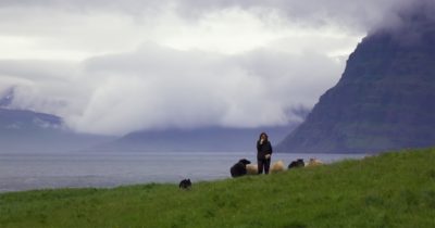 Mitt eget hörn av Island