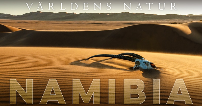 Världens natur: Namibia